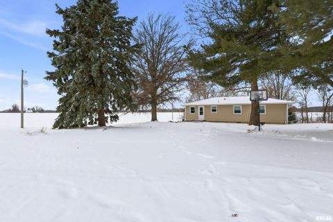 Tiny photo for 22503 45TH Avenue, Port Byron, IL 61275 (MLS # QC4269973)