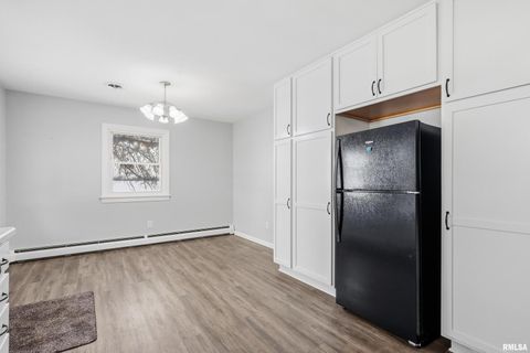 Tiny photo for 22503 45TH Avenue, Port Byron, IL 61275 (MLS # QC4269973)