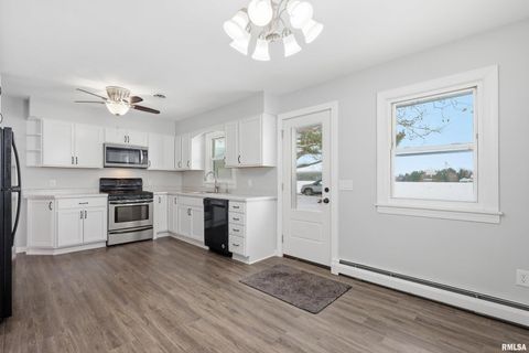 Tiny photo for 22503 45TH Avenue, Port Byron, IL 61275 (MLS # QC4269973)