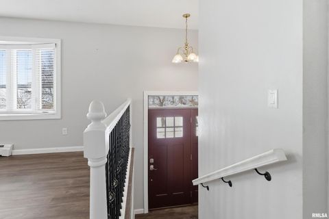 Tiny photo for 22503 45TH Avenue, Port Byron, IL 61275 (MLS # QC4269973)