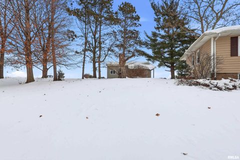 Tiny photo for 22503 45TH Avenue, Port Byron, IL 61275 (MLS # QC4269973)