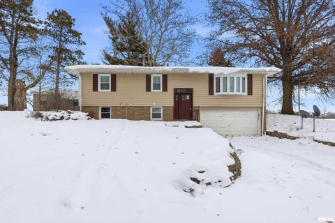 Photo of 22503 45TH Avenue, Port Byron, IL 61275 (MLS # QC4269973)