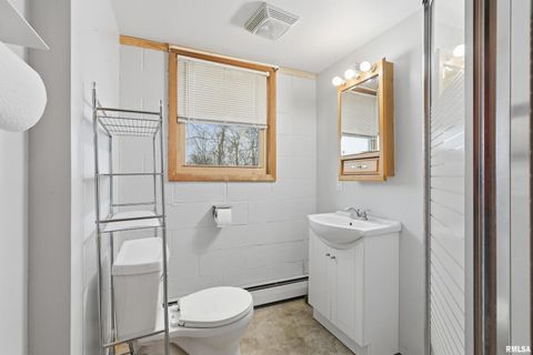 Tiny photo for 22503 45TH Avenue, Port Byron, IL 61275 (MLS # QC4269973)