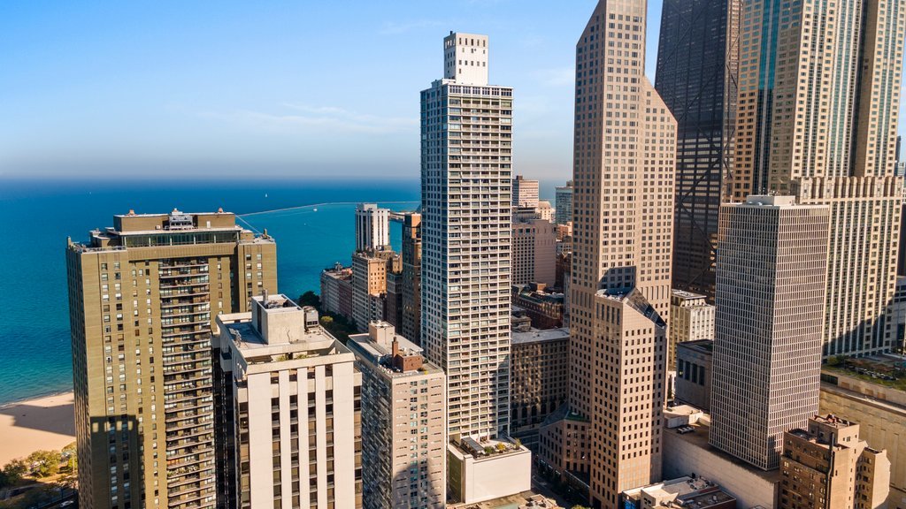 1000 N Lake Shore Plaza 13A
