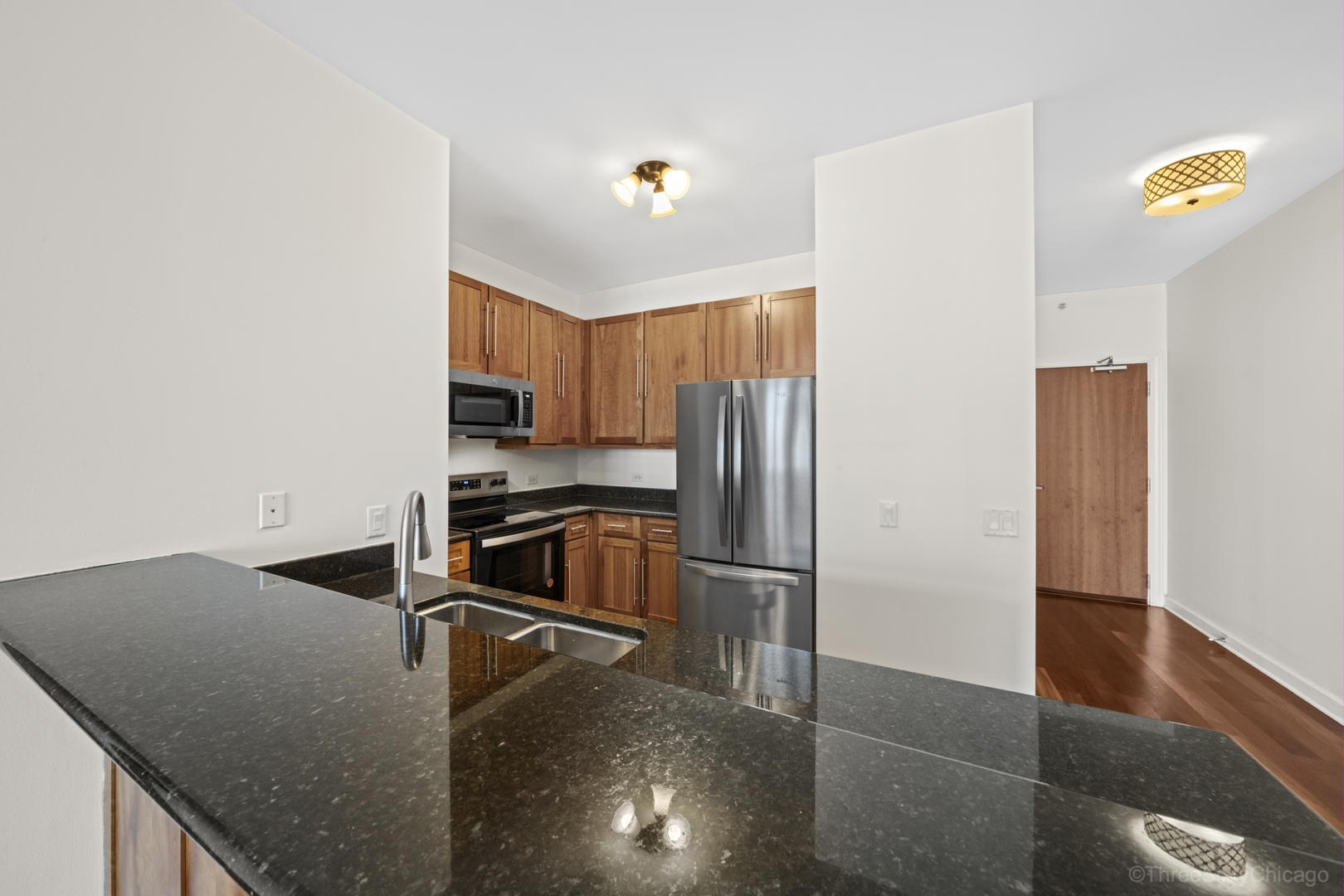 1235 S Prairie Avenue 3507
