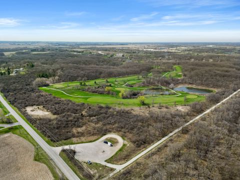 26732 S Balmoral Woods Drive Crete IL 60417