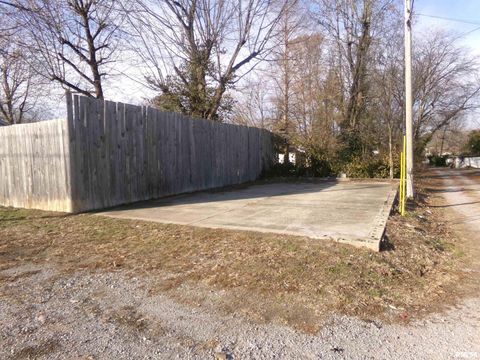 Tiny photo for 402 N Cochran Street, West Frankfort, IL 62896 (MLS # QC4270110)