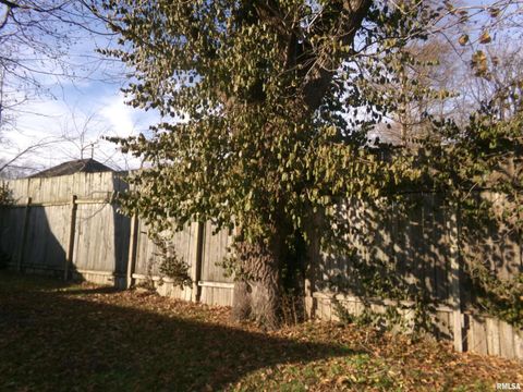 Tiny photo for 402 N Cochran Street, West Frankfort, IL 62896 (MLS # QC4270110)