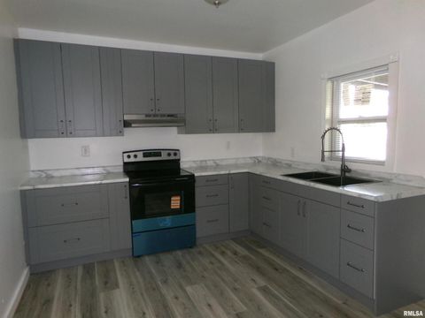 Tiny photo for 402 N Cochran Street, West Frankfort, IL 62896 (MLS # QC4270110)