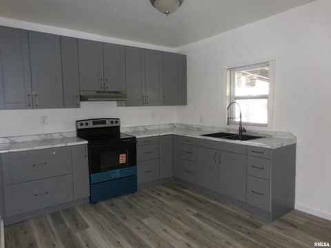 Tiny photo for 402 N Cochran Street, West Frankfort, IL 62896 (MLS # QC4270110)