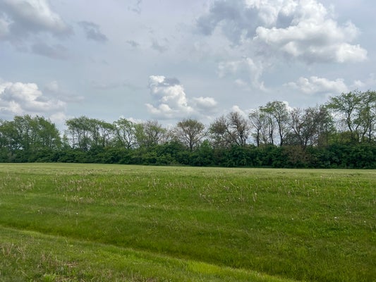 6865 W MCCAMPBELL DR, MONEE, IL 60449 - Image 90bfc5c9b4e8e33f13e580e714f20924/2917381656