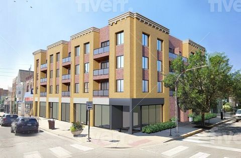 1136 W Belmont Avenue Chicago IL 60657