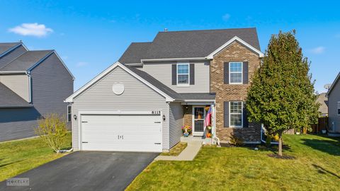 Tiny photo for 8115 Settlers Pond Way, Joliet, IL 60431 (MLS # 12510106)