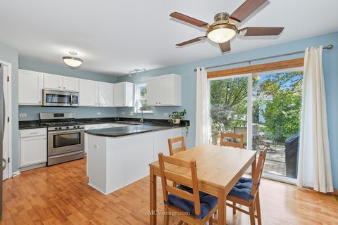 Tiny photo for 2045 Winding Lakes Drive, Plainfield, IL 60586 (MLS # 12469722)