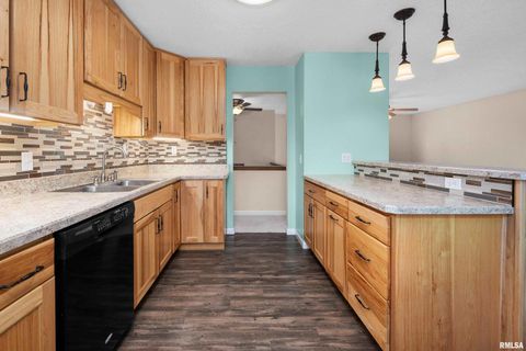 Tiny photo for 5138 306TH Street, Dixon, IA 52745 (MLS # QC4269479)