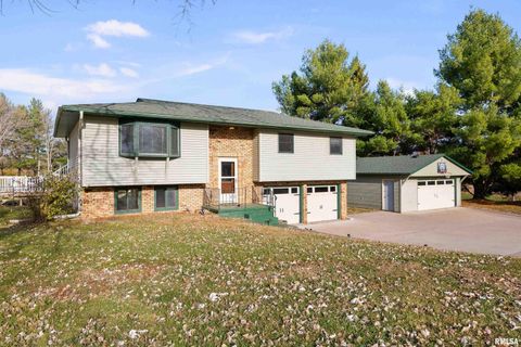 Tiny photo for 5138 306TH Street, Dixon, IA 52745 (MLS # QC4269479)