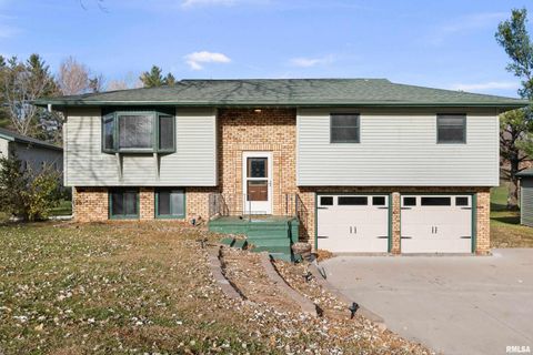 Tiny photo for 5138 306TH Street, Dixon, IA 52745 (MLS # QC4269479)