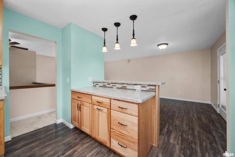 Tiny photo for 5138 306TH Street, Dixon, IA 52745 (MLS # QC4269479)