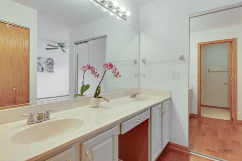 Tiny photo for 2944 Oak Court #2944, Schaumburg, IL 60193 (MLS # 12651455)