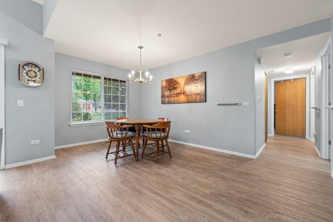 Tiny photo for 460 Mayflower Lane #1, Bartlett, IL 60103 (MLS # 12489945)