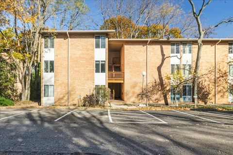 5817 Oakwood Drive E Lisle IL 60532