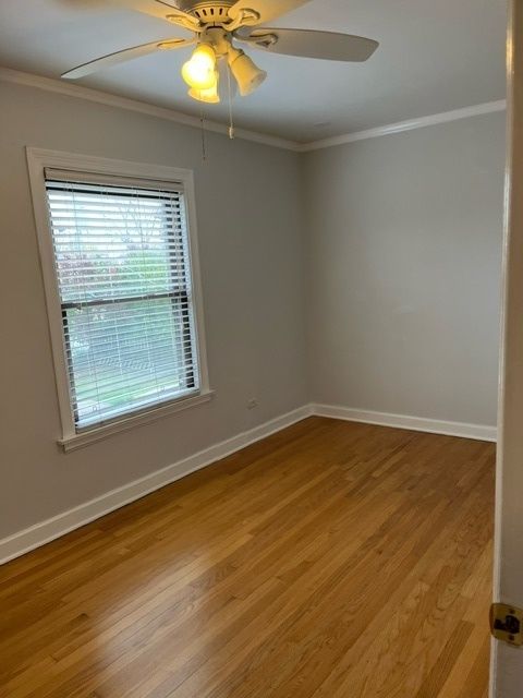 listing image 50