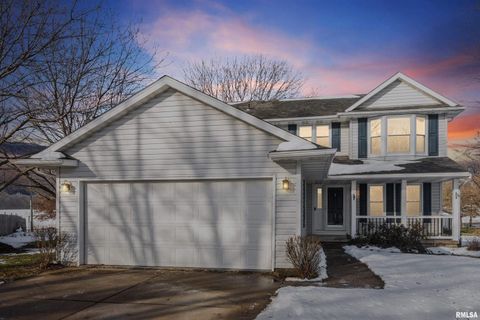 Photo of 53 W ROSE Court, Geneseo, IL 61254 (MLS # QC4270121)