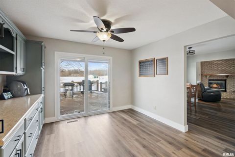 Tiny photo for 53 W ROSE Court, Geneseo, IL 61254 (MLS # QC4270121)