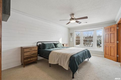 Tiny photo for 53 W ROSE Court, Geneseo, IL 61254 (MLS # QC4270121)