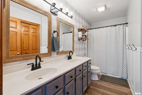 Tiny photo for 53 W ROSE Court, Geneseo, IL 61254 (MLS # QC4270121)