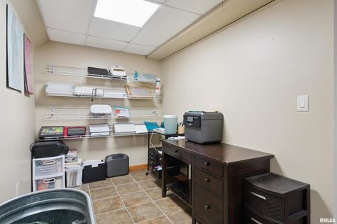 Tiny photo for 53 W ROSE Court, Geneseo, IL 61254 (MLS # QC4270121)