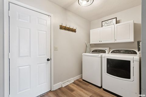 Tiny photo for 53 W ROSE Court, Geneseo, IL 61254 (MLS # QC4270121)