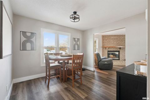 Tiny photo for 53 W ROSE Court, Geneseo, IL 61254 (MLS # QC4270121)