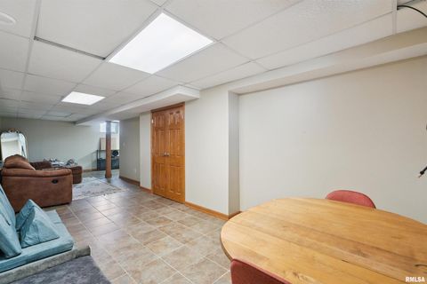 Tiny photo for 53 W ROSE Court, Geneseo, IL 61254 (MLS # QC4270121)