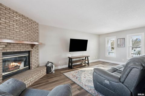 Tiny photo for 53 W ROSE Court, Geneseo, IL 61254 (MLS # QC4270121)