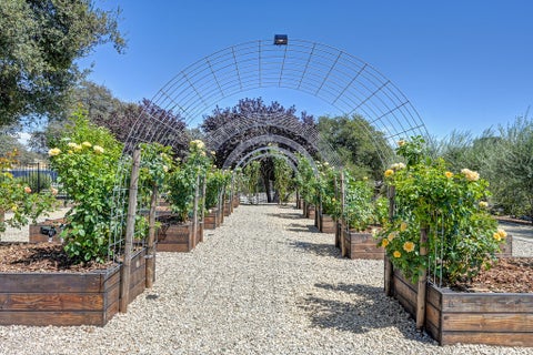 Tiny photo for 4021 Porter Lane, Shingle Springs, CA 95682 (MLS # 12765762)