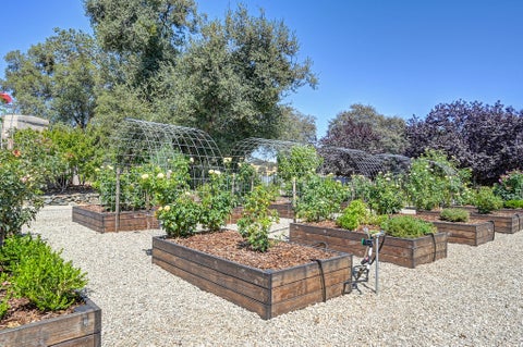 Tiny photo for 4021 Porter Lane, Shingle Springs, CA 95682 (MLS # 12765762)