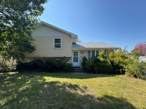 Photo of 2509 Ruth Fitzgerald Drive, Plainfield, IL 60586 (MLS # 12469358)