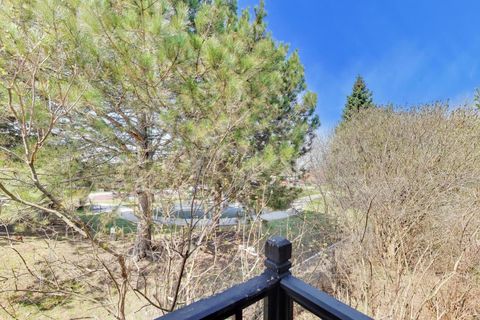 Tiny photo for 5714 Crain Street, Morton Grove, IL 60053 (MLS # 12601485)