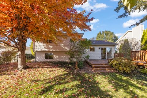 Tiny photo for 1804 Larkspur Drive, Plainfield, IL 60586 (MLS # 12506994)