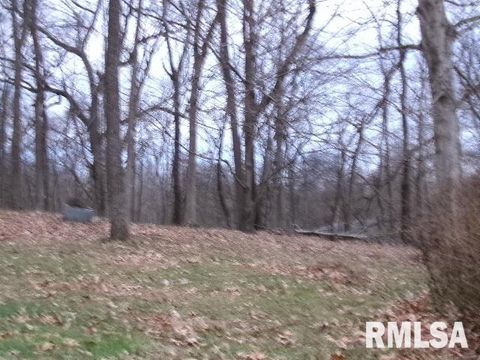 Tiny photo for 23 IL 34 S Route, Rosiclare, IL 62982 (MLS # EB460711)