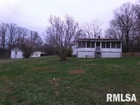 Tiny photo for 23 IL 34 S Route, Rosiclare, IL 62982 (MLS # EB460711)