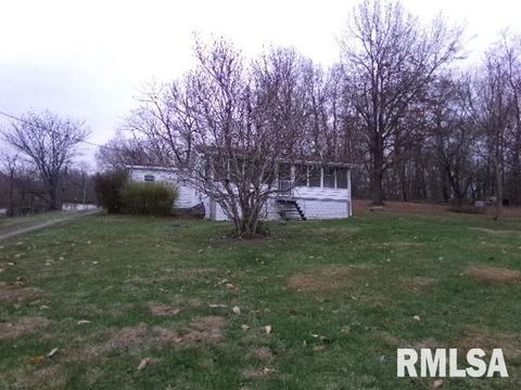 Tiny photo for 23 IL 34 S Route, Rosiclare, IL 62982 (MLS # EB460711)