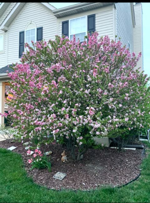 Tiny photo for 1616 STANTON Lane, Plainfield, IL 60586 (MLS # 12547657)