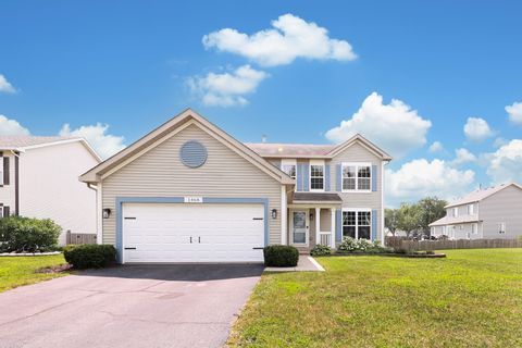 1468 SEDGE Pass Minooka IL 60447