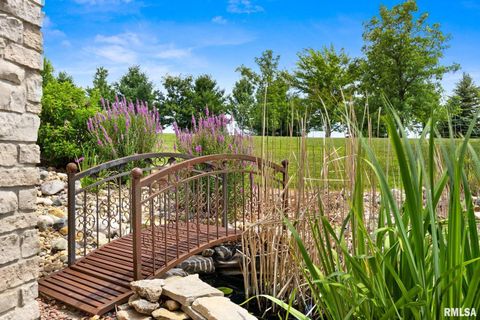 Tiny photo for 2988 N 400 East Road, Mclean, IL 61754 (MLS # 12647535)