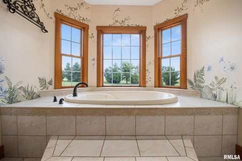 Tiny photo for 2988 N 400 East Road, Mclean, IL 61754 (MLS # 12647535)