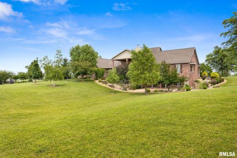 Tiny photo for 2988 N 400 East Road, Mclean, IL 61754 (MLS # 12647535)