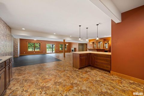 Tiny photo for 2988 N 400 East Road, Mclean, IL 61754 (MLS # 12647535)