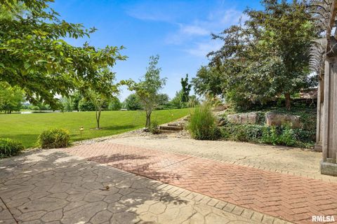 Tiny photo for 2988 N 400 East Road, Mclean, IL 61754 (MLS # 12647535)